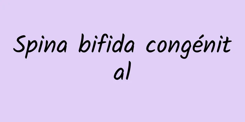Spina bifida congénital