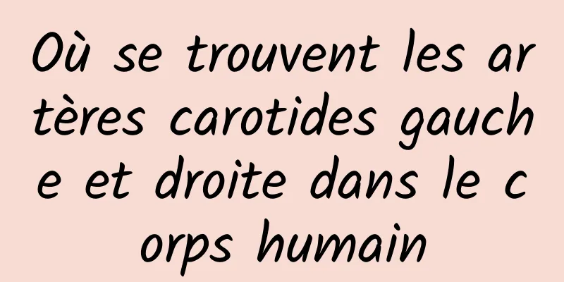 Où se trouvent les artères carotides gauche et droite dans le corps humain