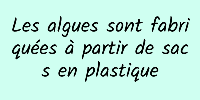 Les algues sont fabriquées à partir de sacs en plastique