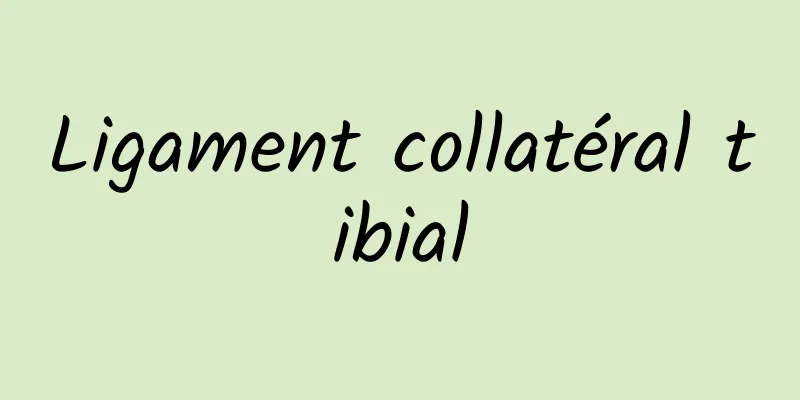 Ligament collatéral tibial