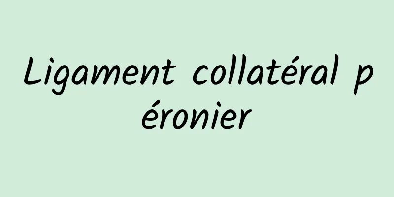 Ligament collatéral péronier