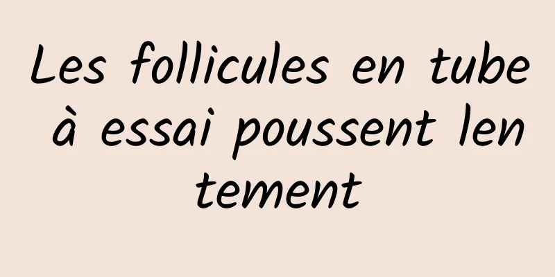 Les follicules en tube à essai poussent lentement