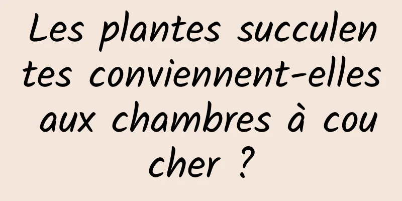 Les plantes succulentes conviennent-elles aux chambres à coucher ?