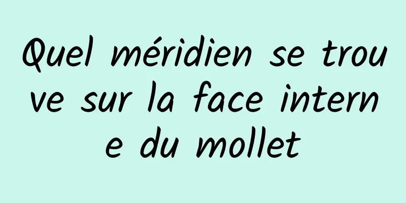 Quel méridien se trouve sur la face interne du mollet