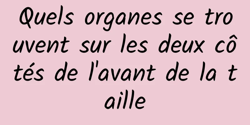 Quels organes se trouvent sur les deux côtés de l'avant de la taille