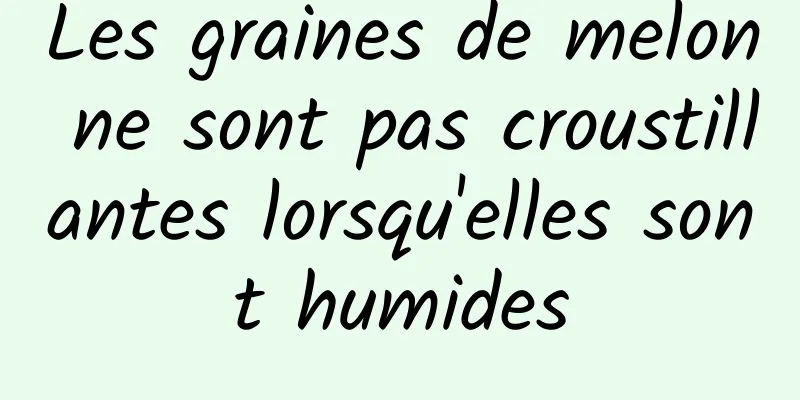 Les graines de melon ne sont pas croustillantes lorsqu'elles sont humides