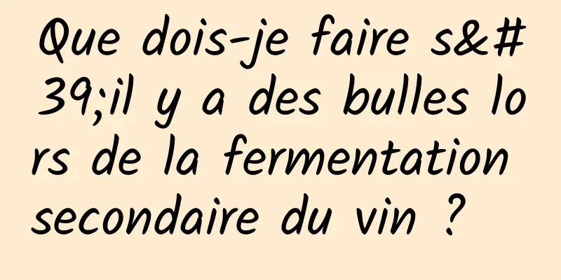 Que dois-je faire s'il y a des bulles lors de la fermentation secondaire du vin ?   