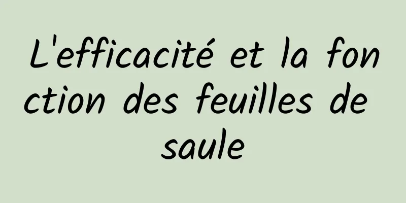 L'efficacité et la fonction des feuilles de saule