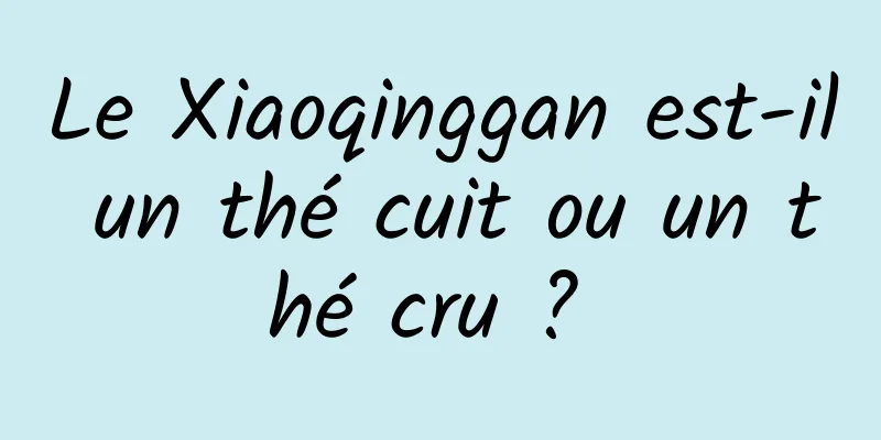 Le Xiaoqinggan est-il un thé cuit ou un thé cru ? 
