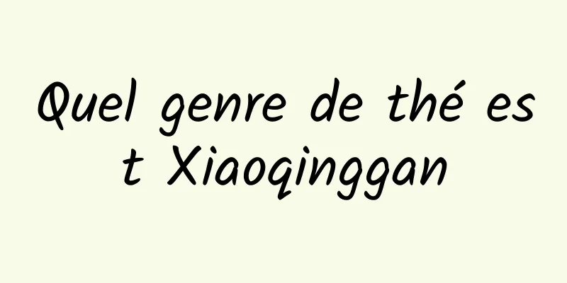 Quel genre de thé est Xiaoqinggan