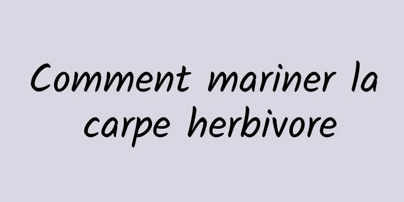 Comment mariner la carpe herbivore
