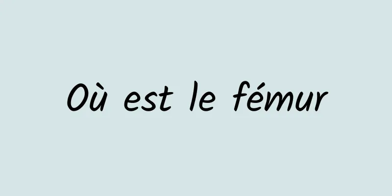 Où est le fémur