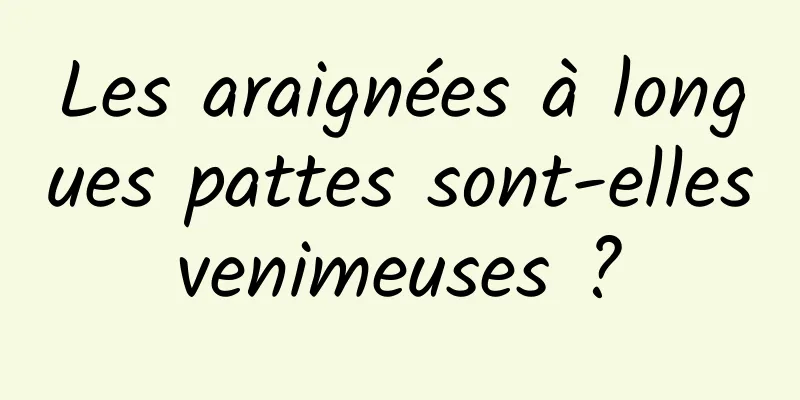 Les araignées à longues pattes sont-elles venimeuses ? 