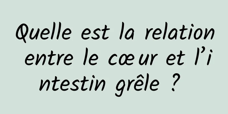 Quelle est la relation entre le cœur et l’intestin grêle ? 