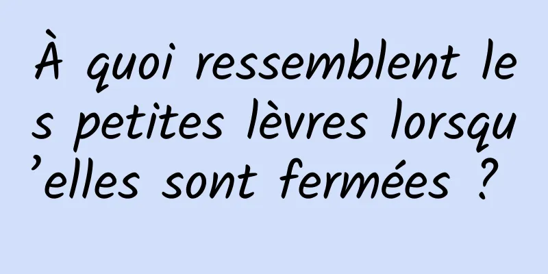À quoi ressemblent les petites lèvres lorsqu’elles sont fermées ? 