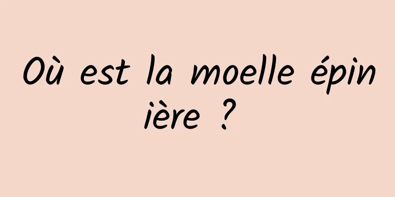 Où est la moelle épinière ? 