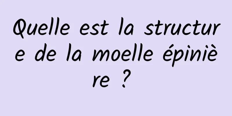 Quelle est la structure de la moelle épinière ? 