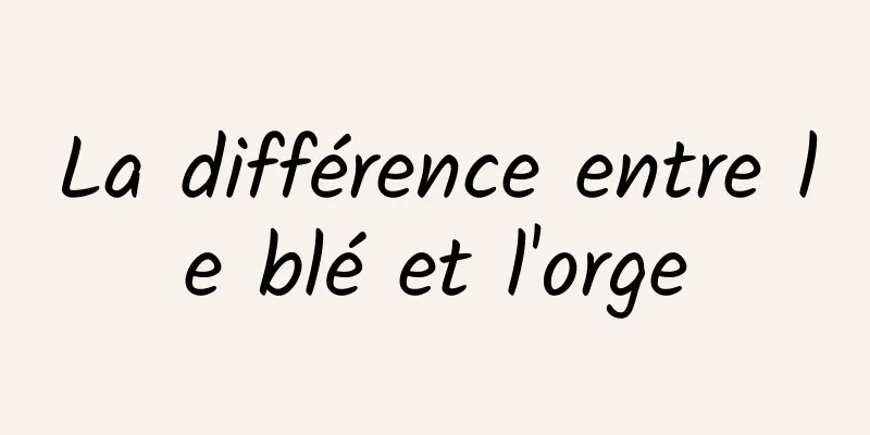 La différence entre le blé et l'orge