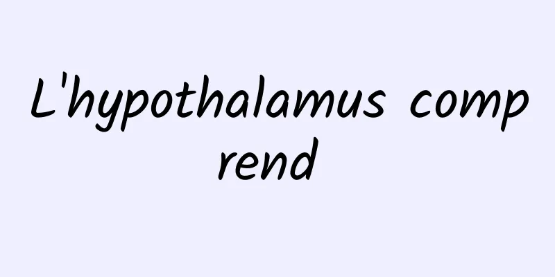 L'hypothalamus comprend 