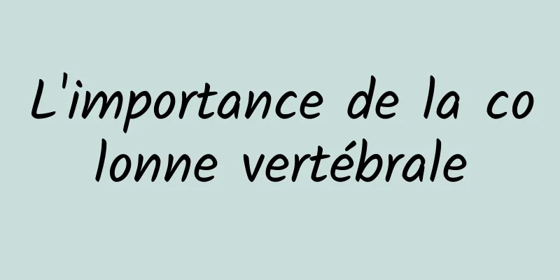 L'importance de la colonne vertébrale