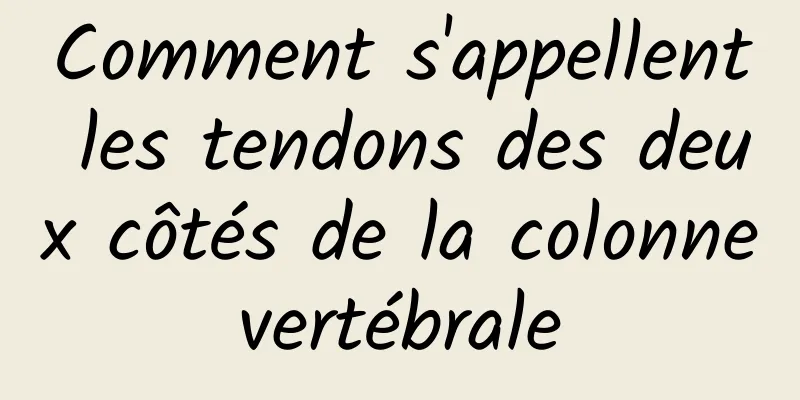 Comment s'appellent les tendons des deux côtés de la colonne vertébrale 
