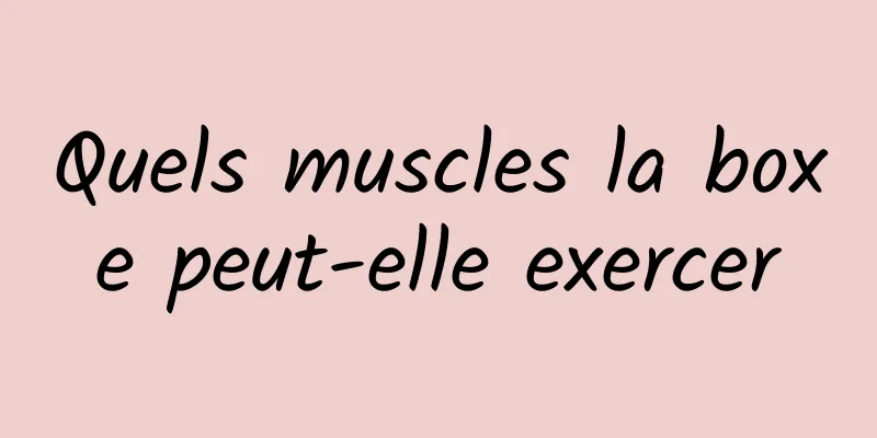Quels muscles la boxe peut-elle exercer