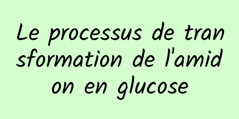 Le processus de transformation de l'amidon en glucose