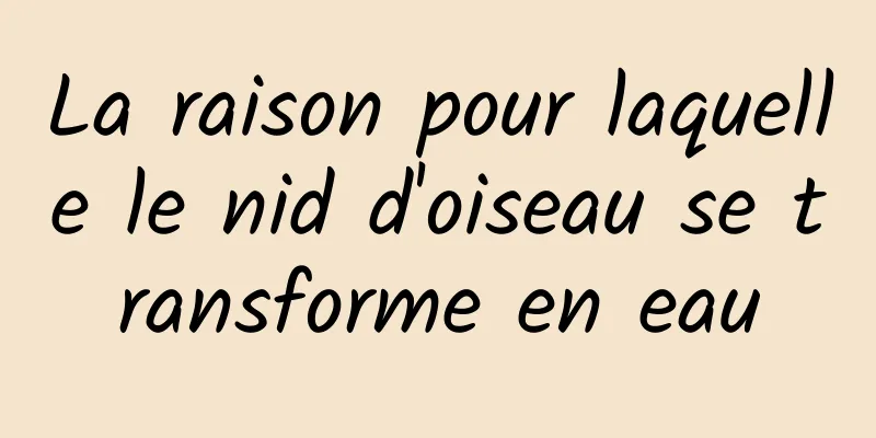 La raison pour laquelle le nid d'oiseau se transforme en eau