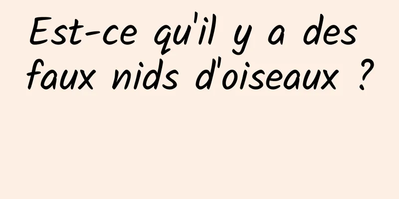Est-ce qu'il y a des faux nids d'oiseaux ? 