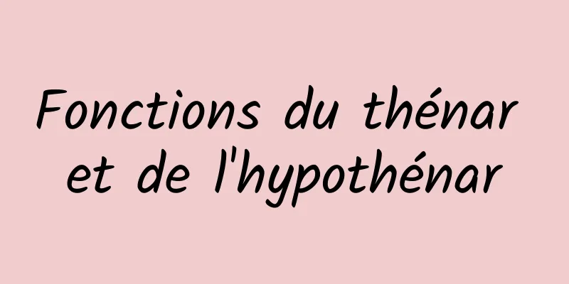 Fonctions du thénar et de l'hypothénar