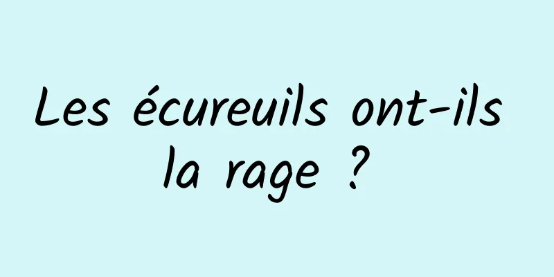 Les écureuils ont-ils la rage ? 