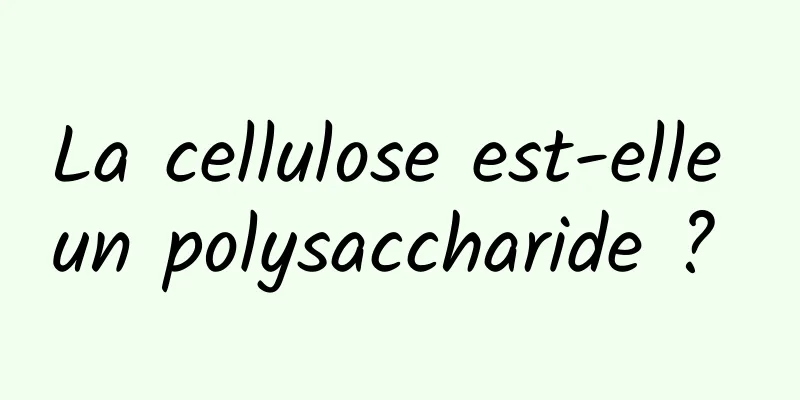 La cellulose est-elle un polysaccharide ? 
