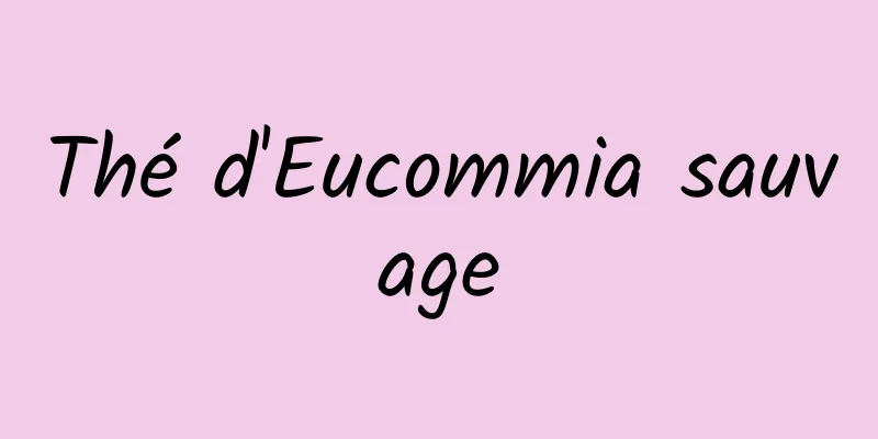 Thé d'Eucommia sauvage