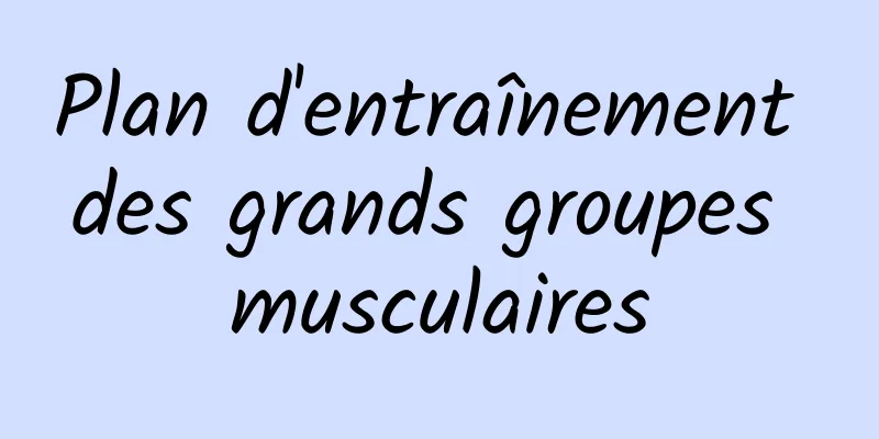 Plan d'entraînement des grands groupes musculaires