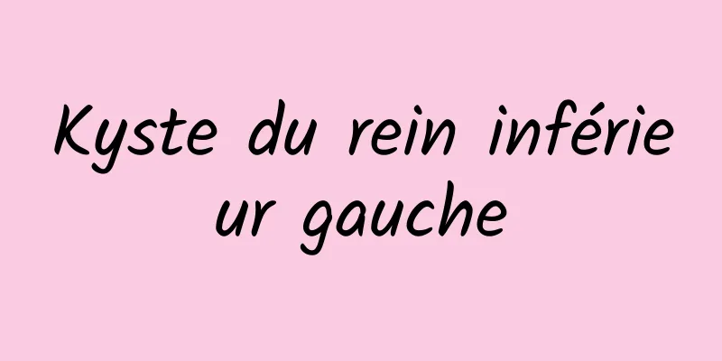 Kyste du rein inférieur gauche