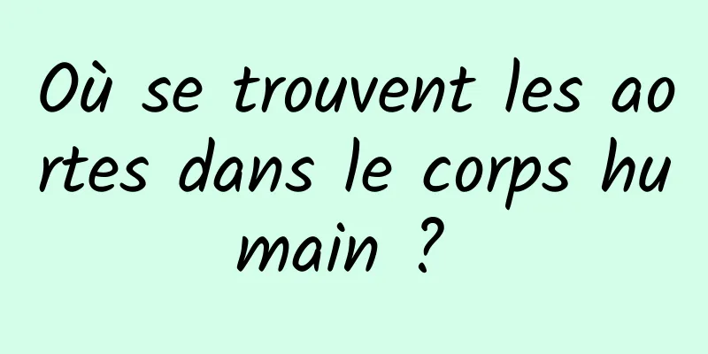 Où se trouvent les aortes dans le corps humain ? 