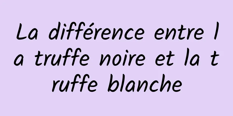 La différence entre la truffe noire et la truffe blanche