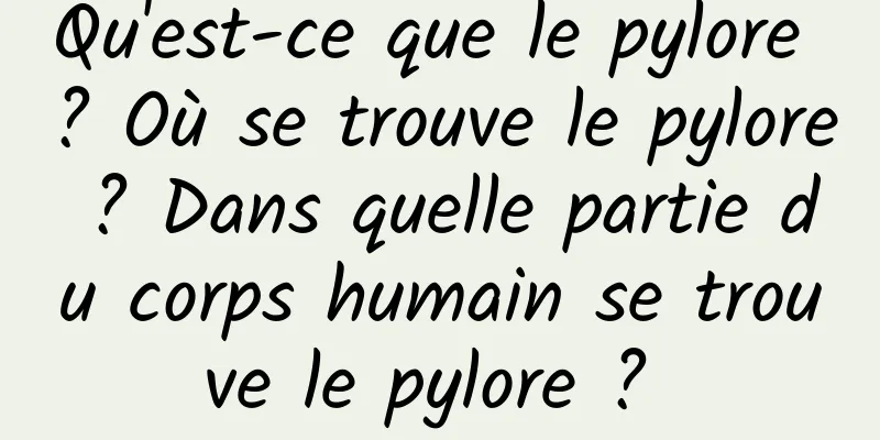 Qu'est-ce que le pylore ? Où se trouve le pylore ? Dans quelle partie du corps humain se trouve le pylore ? 