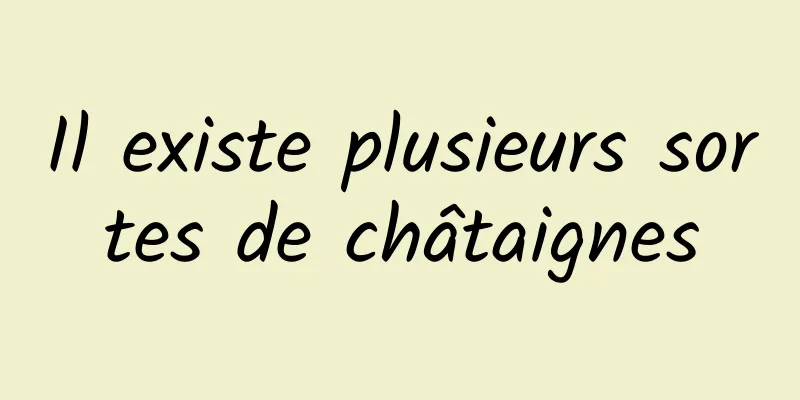 Il existe plusieurs sortes de châtaignes