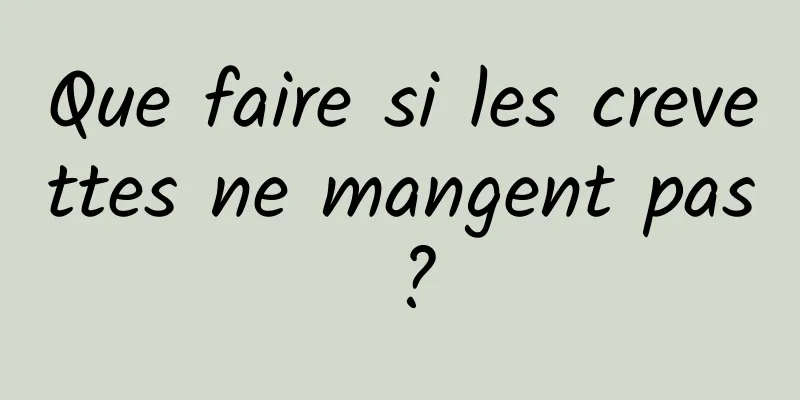 Que faire si les crevettes ne mangent pas ?