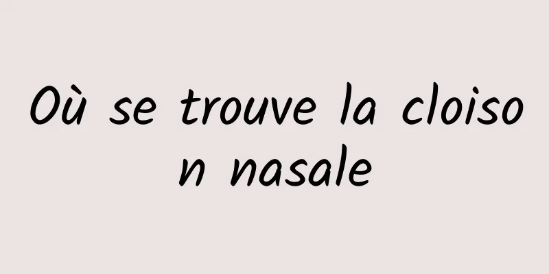 Où se trouve la cloison nasale