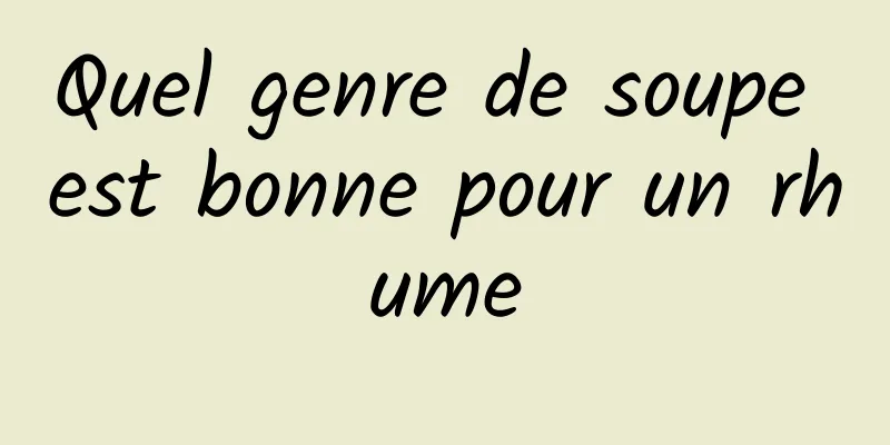Quel genre de soupe est bonne pour un rhume