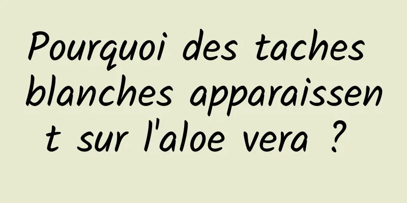 Pourquoi des taches blanches apparaissent sur l'aloe vera ? 
