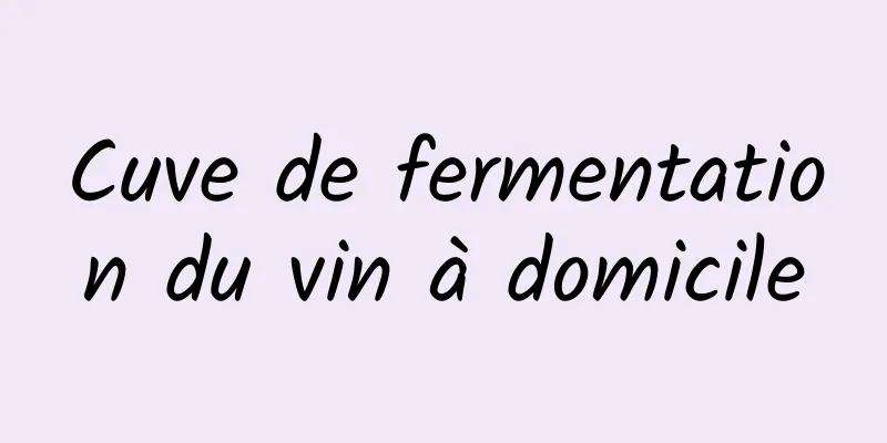 Cuve de fermentation du vin à domicile