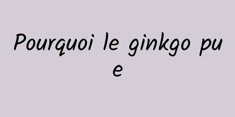 Pourquoi le ginkgo pue