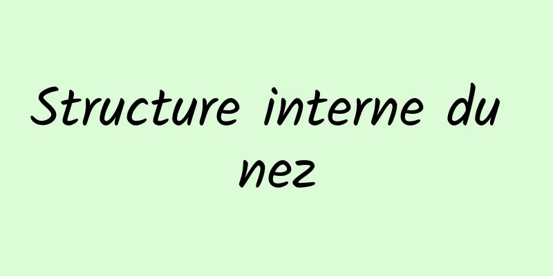 Structure interne du nez