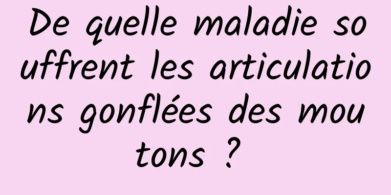 De quelle maladie souffrent les articulations gonflées des moutons ? 