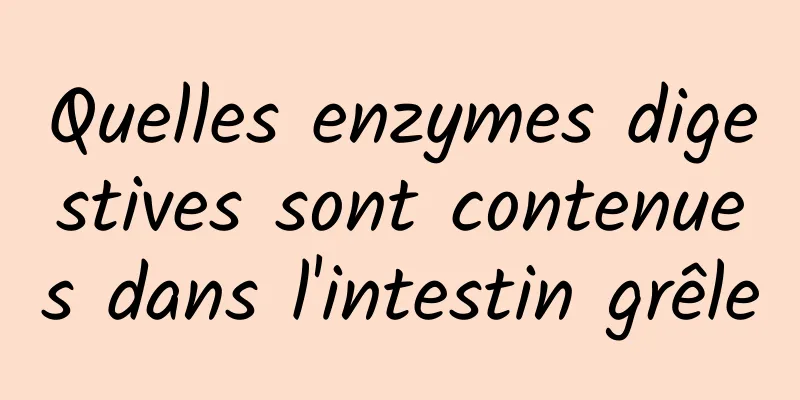 Quelles enzymes digestives sont contenues dans l'intestin grêle