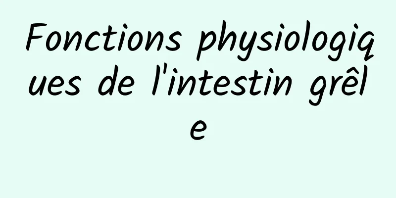 Fonctions physiologiques de l'intestin grêle