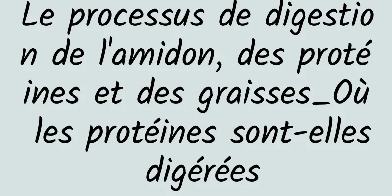 Le processus de digestion de l'amidon, des protéines et des graisses_Où les protéines sont-elles digérées